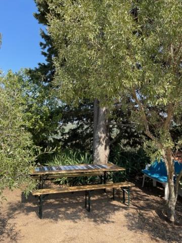 Stazzu Lu Chissoni Villa Luogosanto Dış mekan fotoğraf