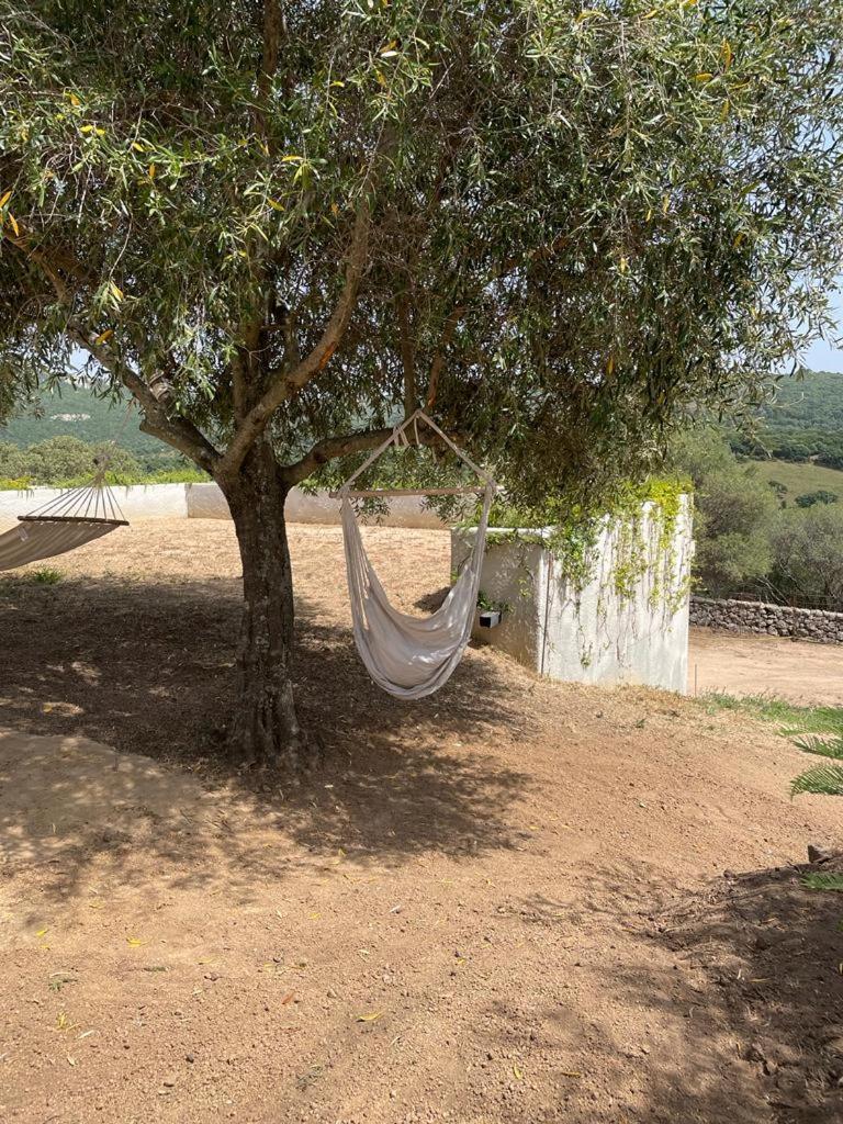 Stazzu Lu Chissoni Villa Luogosanto Dış mekan fotoğraf